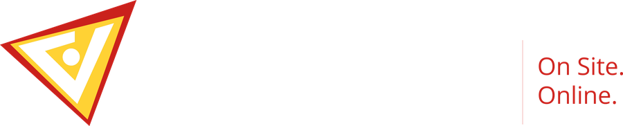 VNS — Vision Network Solutions
