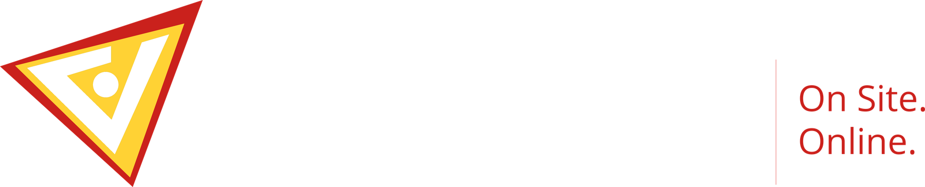 VNS — Vision Network Solutions